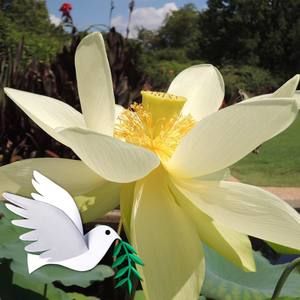 Meet your Posher, Ning